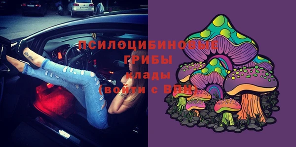 круглые Алзамай