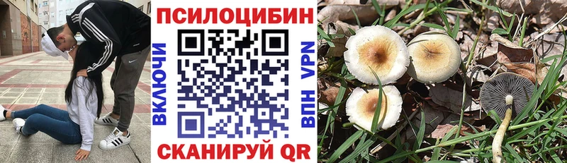Галлюциногенные грибы мухоморы  кракен вход  Усмань 